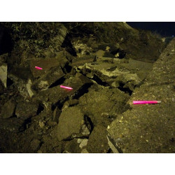 SNAPLIGHT BATON LUMINEUX 15CM - 12H