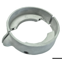 Anodes